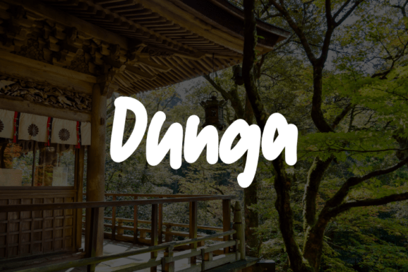 Dunga