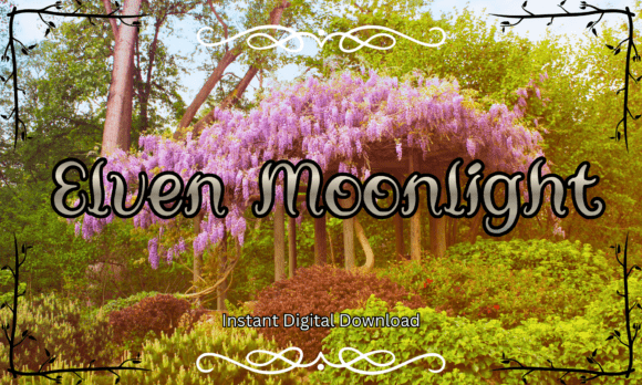 Elven Moonlight: A Font for Enchantment and Editorial Grace